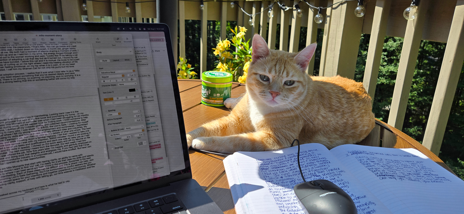 The Milo Moment: Lessons from My Cat on Manifesting and Surrender